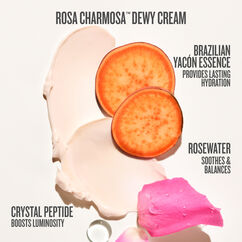 Rosa & Shine Set, , large, image7