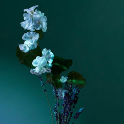 A Balm of Calm Eau de Parfum, , large, image4