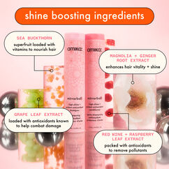 Sublime Shine Wash + Care Set, , large, image6