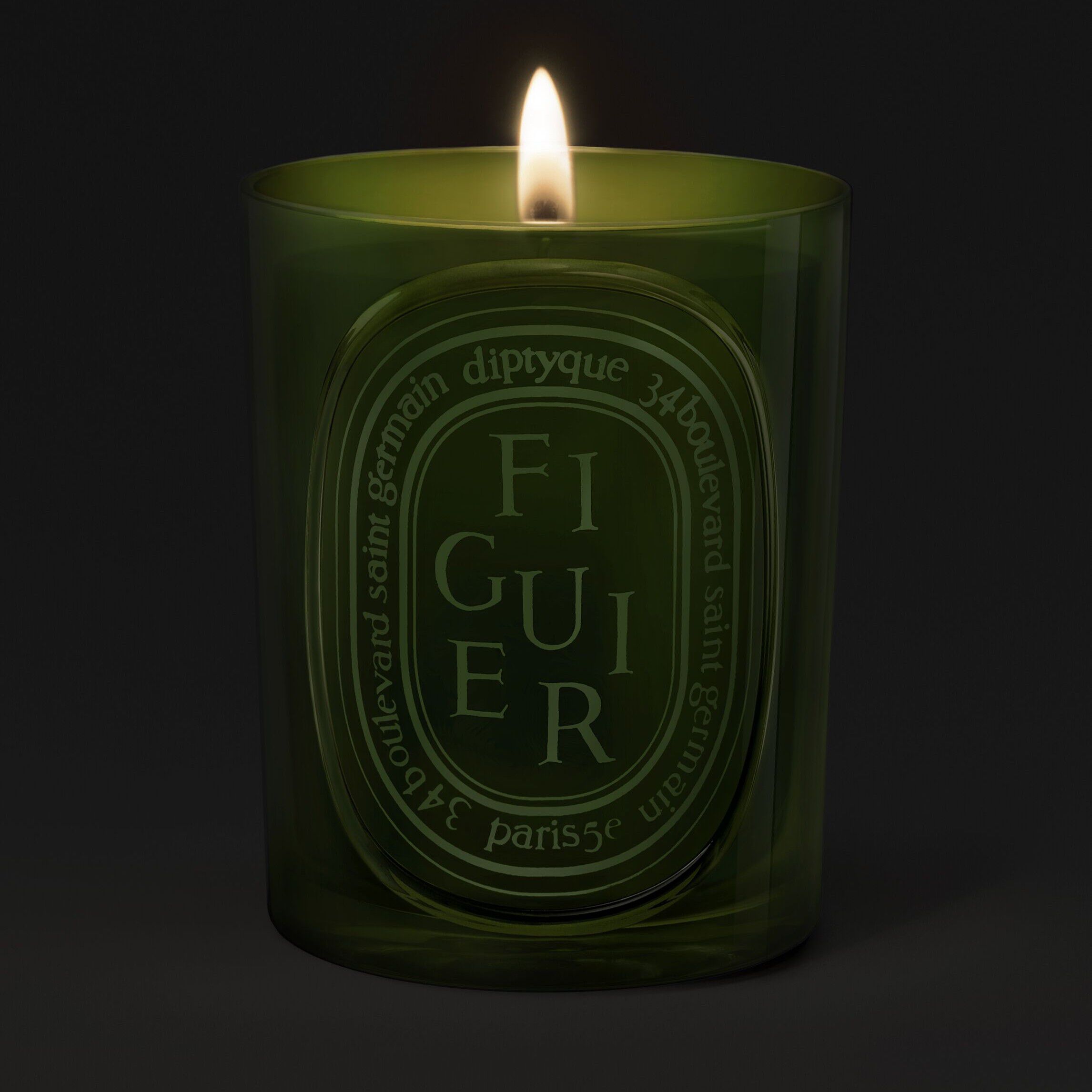 Diptyque Figuier Medium Candle 300g | Space NK