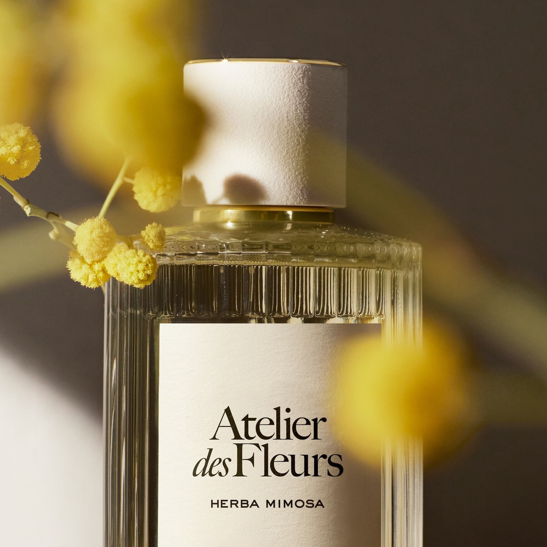 Chloé Atelier des Fleurs HERBA MIMOSA Chloé Atelier des Fleurs Herba Mimosa Eau de Parfum | Space NK