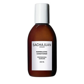 Normalizing Conditioner