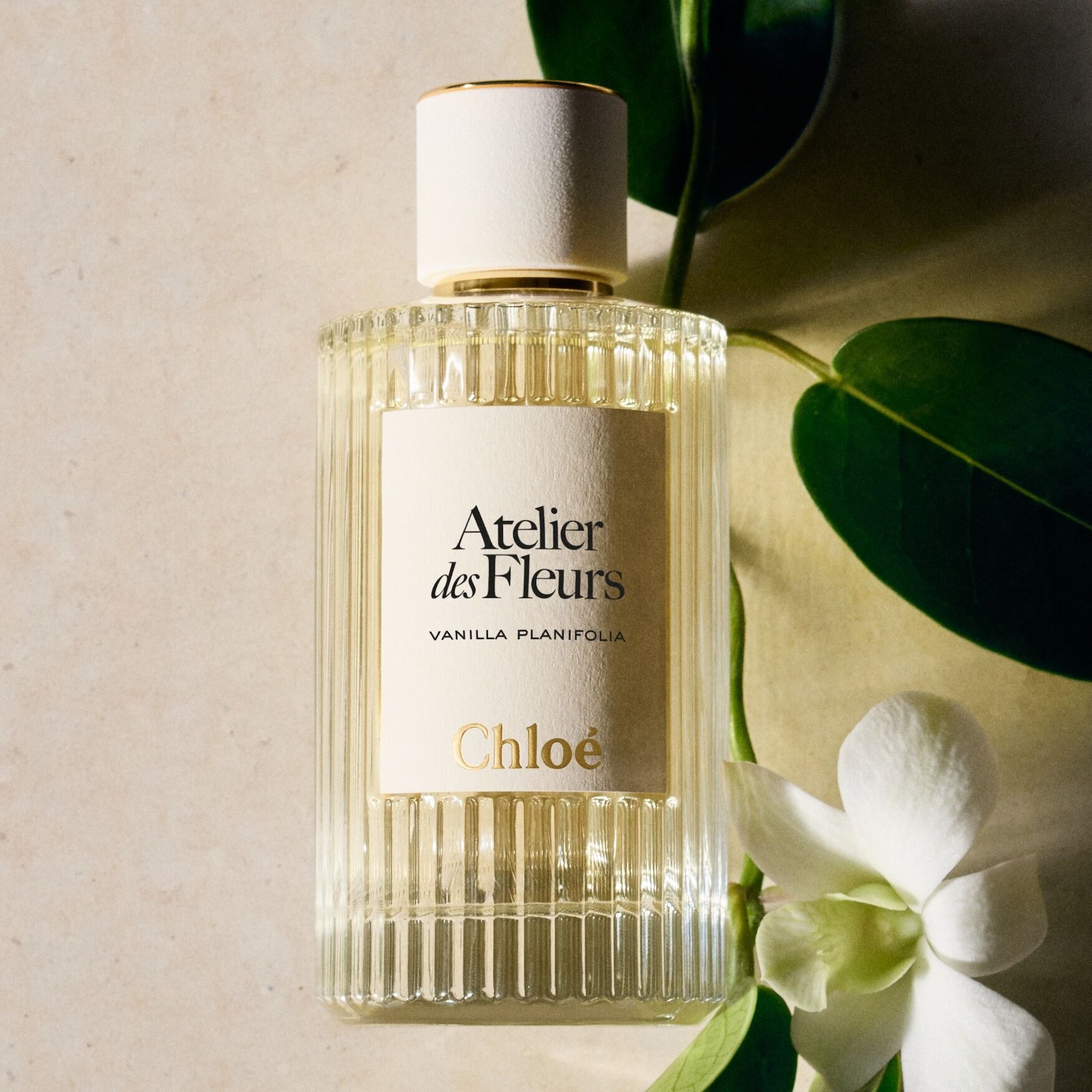 Chloé Atelier des Fleurs Vanilla Planifolia Eau de Parfum | Space NK