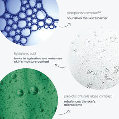 Intensive Moisture Balance, , large, image5