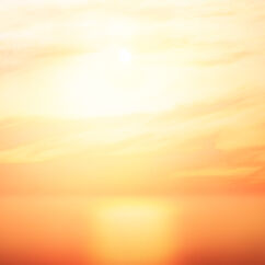 Law Of Attraction - Joyphoria, , large, image3