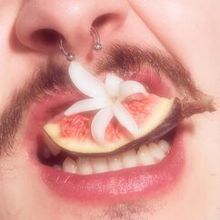 Big Lip Moisture Balm in Vanilla Fig, , large, image5