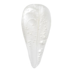 Extra Rich Cleansing Milk, , large, image2