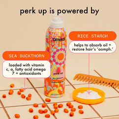 Perk Up Dry Shampoo, , large, image4
