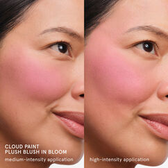 Cloud Paint Plush Blush, BLOOM, large, image4