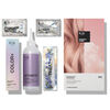 Permanent Color Kit, FRENCH ROSE, large, image3