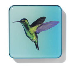 Hummingbird Quartet Limited Edition, COOL, large, image2