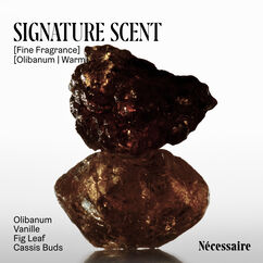 The Body Essentials Olibanum, , large, image5