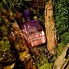 Woodphoria Perfume, , large, image5