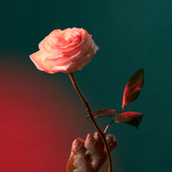 Liquid Love Eau de Parfum, , large, image4