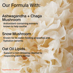 Adaptogens + Snow Mushroom Calm Cleanser, , large, image6