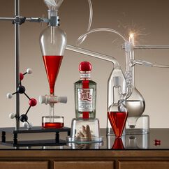 Liquid Love Eau de Parfum, , large, image6