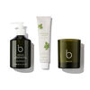 The Ultimate Geranium Gift, , large, image2