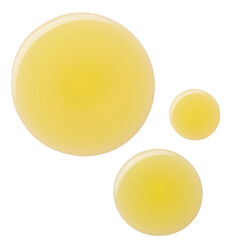 The Everyday Encore Body Oil Sc.01 Orange Grove, , large, image3