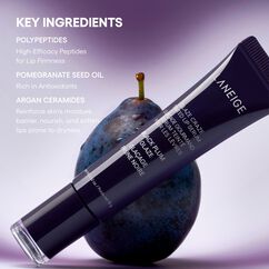 Glaze Craze Tinted Lip Serum, BLACK PLUM GLAZE, large, image7