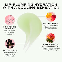 Pout Preserve Peptide Lip Treatment, CAPRI COCO LIME, large, image9