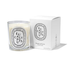 Eucalyptus Classic Candle 190g, , large, image2