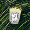 Citronnelle Classic Candle 190g, , large, image3