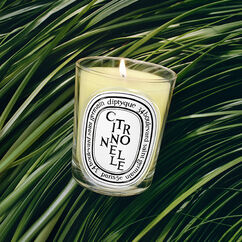 Citronnelle Classic Candle 190g, , large, image3