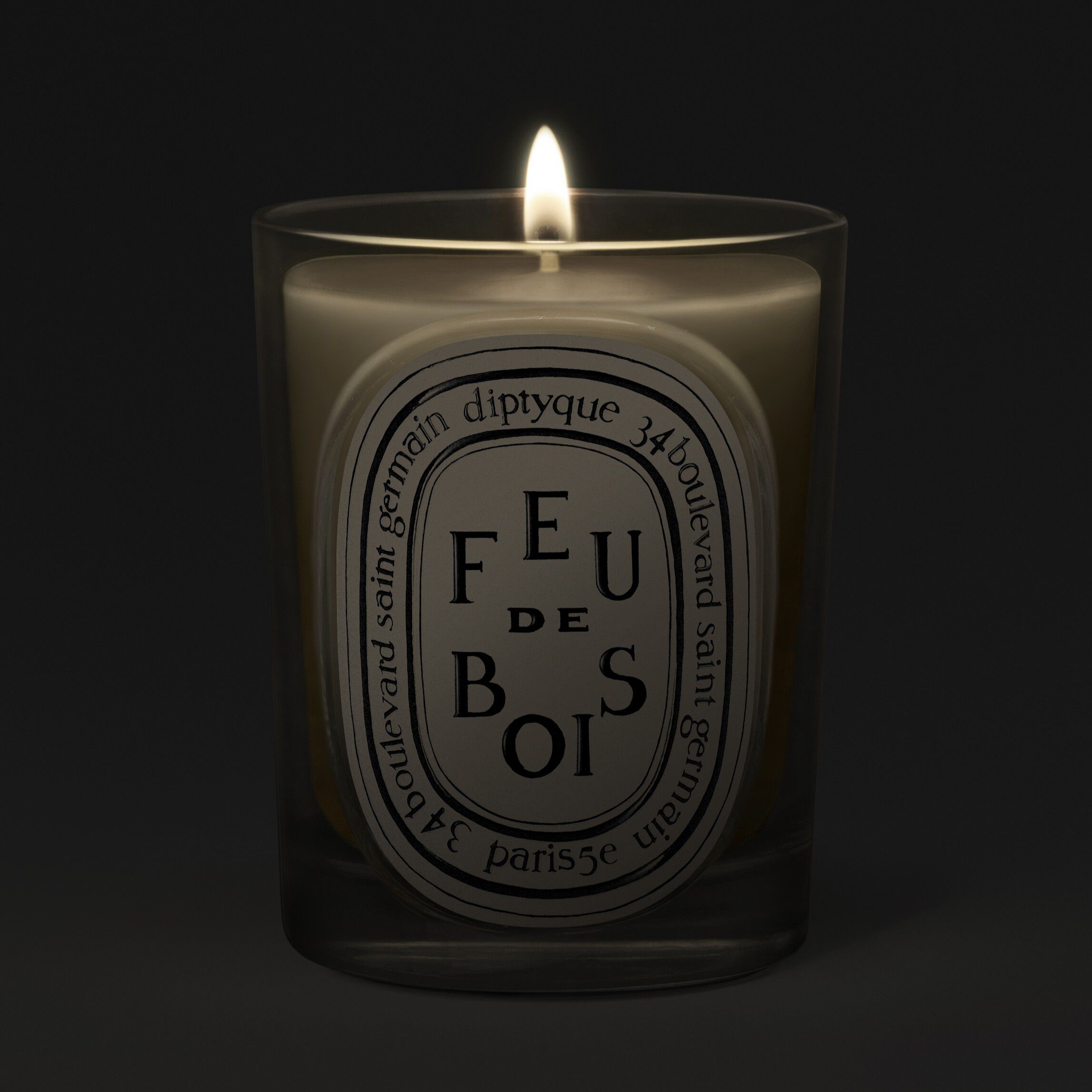Diptyque Feu de Bois Classic Candle 190g | Space NK