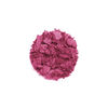 Le Phyto-Blush, N&deg;2 ROSY FUSHIA, large, image3