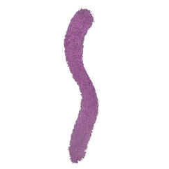 Color Chalk, BOUNCE, large, image3