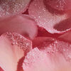 Lalla la Rose Eau De Parfum, , large, image4