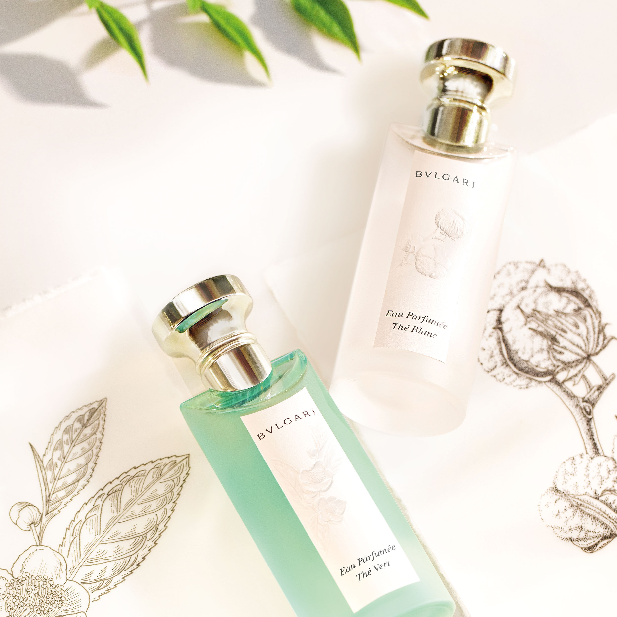 BULGARI Eau Parfumée Thé Blanc Eau de Toilette | Space NK