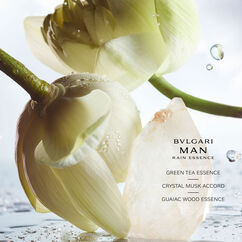 Man Rain Essence Eau de Parfum Refill, , large, image6