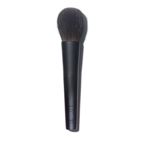 Brosse pour le visage