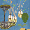 Reed Diffuser Citronnelle + Refill, , large, image4