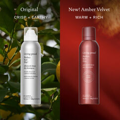 Advanced Clean Dry Shampoo, , large, image9