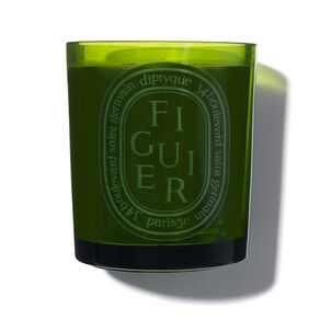 Figuier Colored Candle