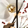 Vanilla Skin Eau De Parfum, , large, image6