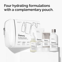 Winter Skin Set, , large, image4