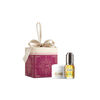 The Glowing Indulgence Collection