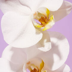 Island Orchid Body Wash, , large, image5