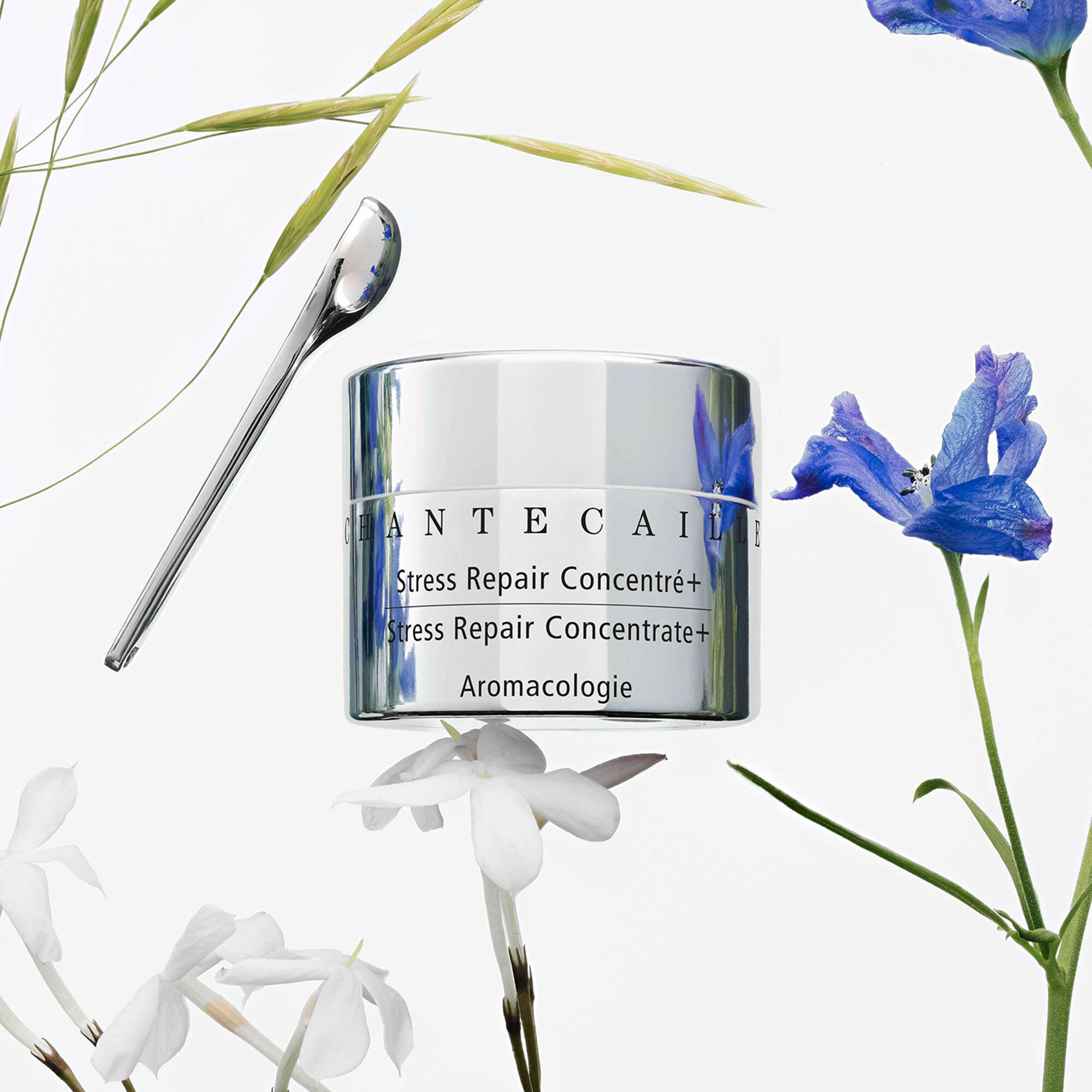 Chantecaille Stress Repair Concentrate + | Space NK