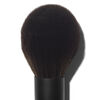 Brush 101 - Powder, , large, image3