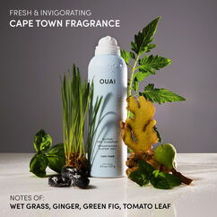 Super Dry Shampoo Cape Town, , large, image5