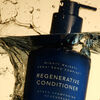 Regenerative Conditioner, , large, image10