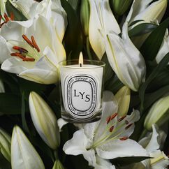 Lys Classic Candle 190g, , large, image3