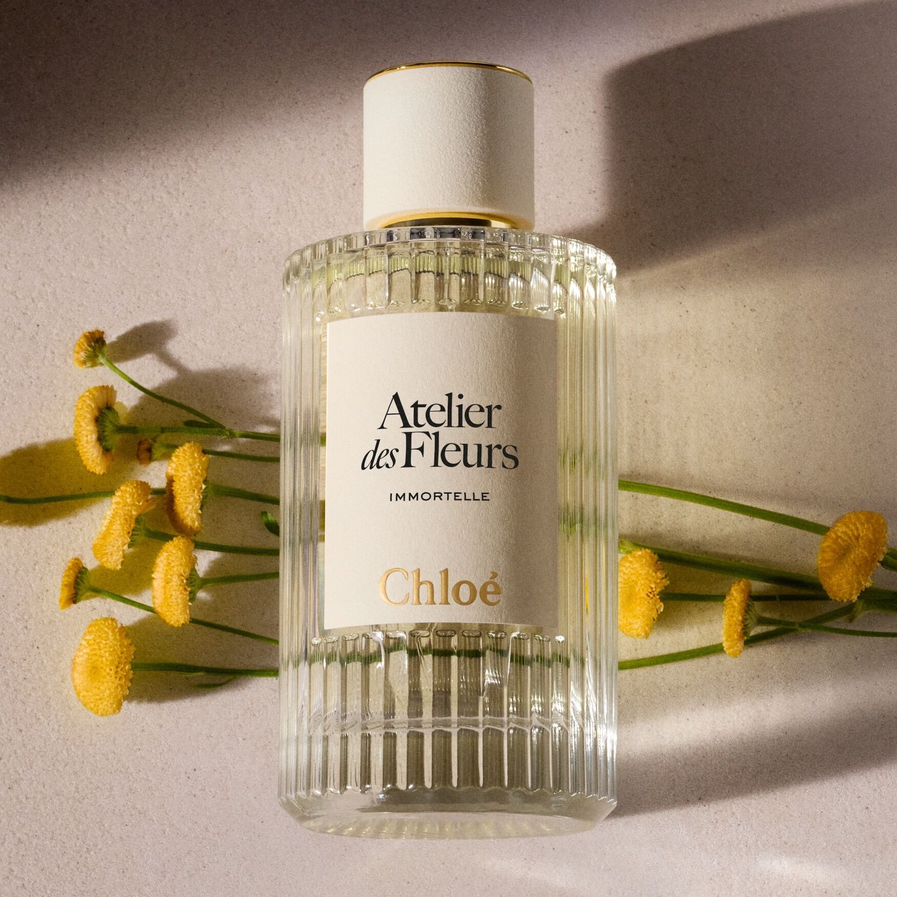 Chloé Atelier des Fleurs Immortelle Eau de Parfum | Space NK