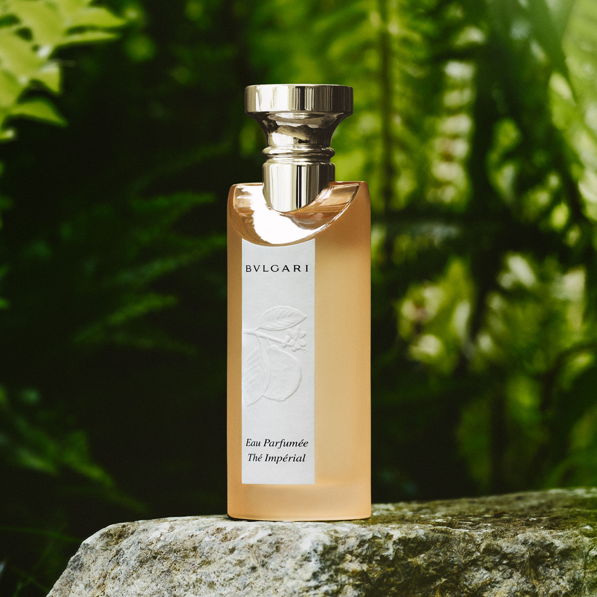 Bulgari 香水 50mL BULGARI Omnia Crystalline Eau De Parfum | Space NK