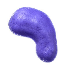 TripleBright Oxidation Defense Purple Shampoo, , large, image2