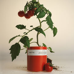 Laide Tomate Scented Candle, , large, image3